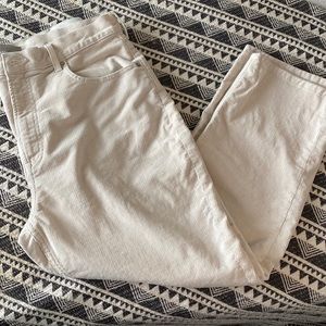 Everlane Cheeky Cord pants
